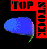 Top Stock Logo